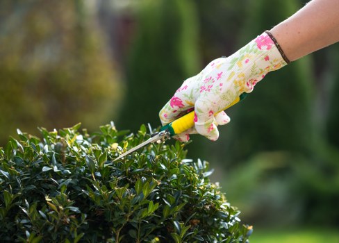 Illustration representing essential cookie use for Gardeners St Lukes