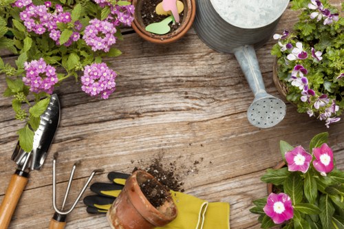 Professional gardening services in St Lukes maintaining a neat suburban garden