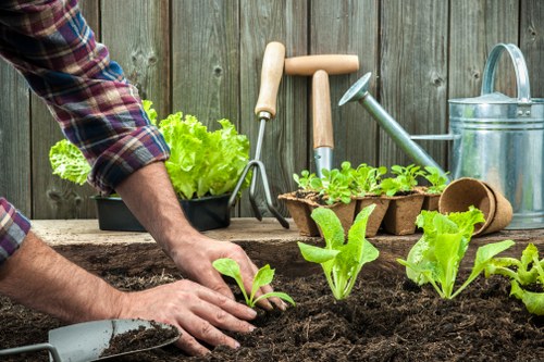 Gardeners St Lukes team introducing local garden care services
