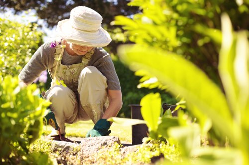 Gardeners St Lukes creating a complete and well-maintained garden space