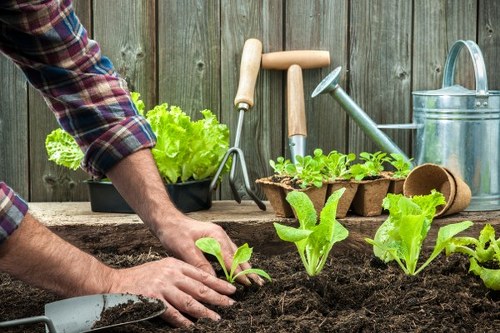 Outdoor garden maintenance team following safety procedures