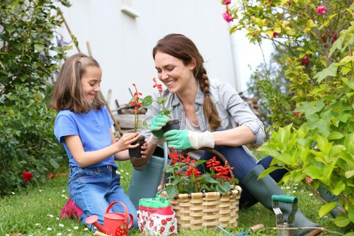 Professional lawn mowing service in St Lukes trimming grass edges
