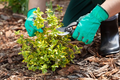 Internal review of a gardener complaint