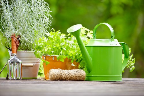 Seasonal lawn care maintenance for St Lukes properties