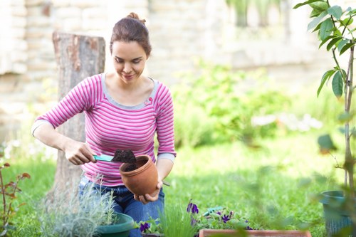 Garden maintenance in St Lukes with tidy lawn and fresh planting