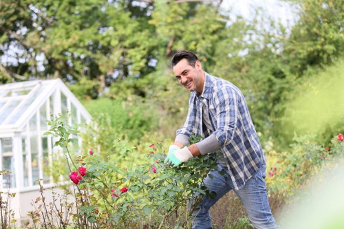 Pruning and shaping plants in a St Lukes home garden