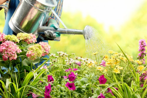 Patio maintenance and cleaning for a residential outdoor area in St Lukes