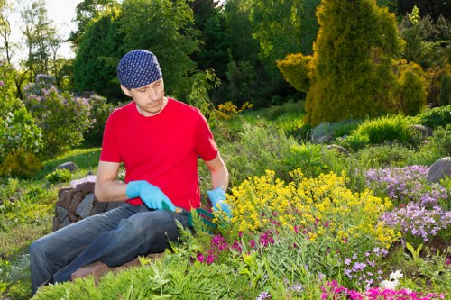Native garden design elements for landscape gardening in St Lukes