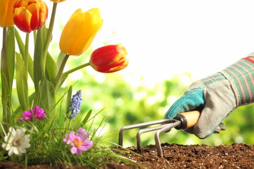 Professional garden maintenance in St Lukes for hedges and beds