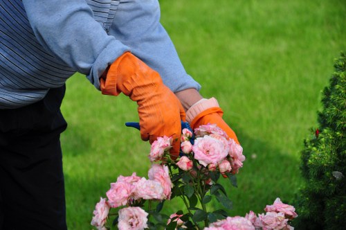 Maintaining lawns and borders with St Lukes gardening services