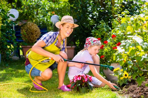 Low-maintenance planted garden suitable for St Lukes homes