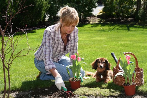 Professional garden waste removal in St Lukes