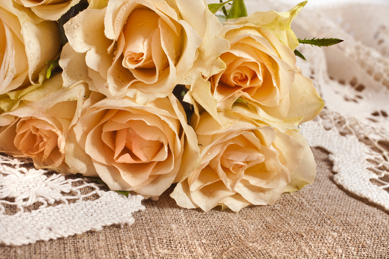 hedge trimming garden care