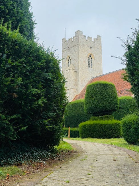 A neatly trimmed hedge composed of dense, green foliage with small, pointed leaves, extending horizontally across the foreground of the image. The hedge appears freshly cut, with a uniform height and 